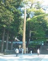 諏訪大社