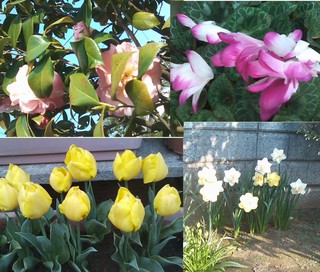 2011apr15.jpg