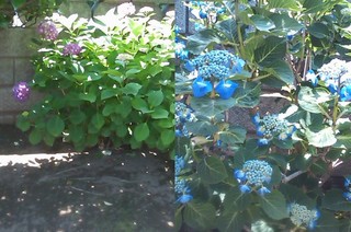 2012jun10.jpg