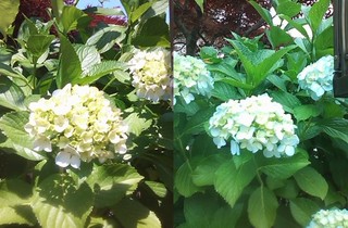 2012jun101.jpg