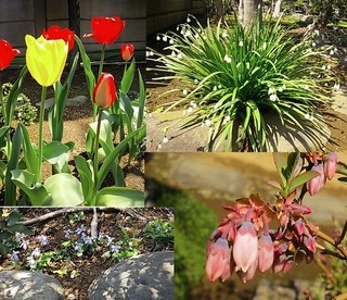 20140407.jpg