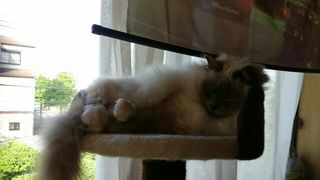 ZZZ.jpg