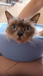 bathtime1.jpg