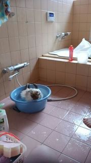 bathtime2.jpg