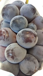 grape1.jpg