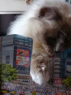 nissin.jpg