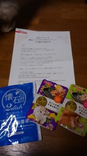 nissin1.jpg