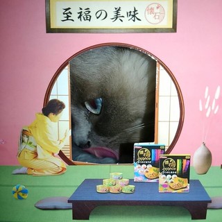 nissin2.jpg
