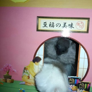 nissin3.jpg