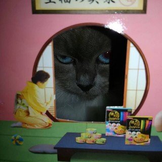 nissin4.jpg
