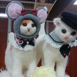 nyan5.jpg