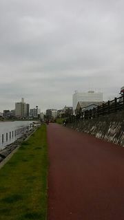 regatta1.jpg