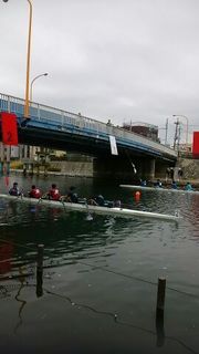 regatta2.jpg